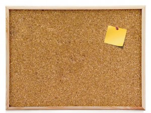 mantar pano