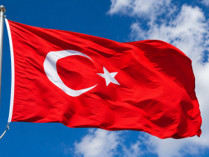 TÜRK BAYRAĞI